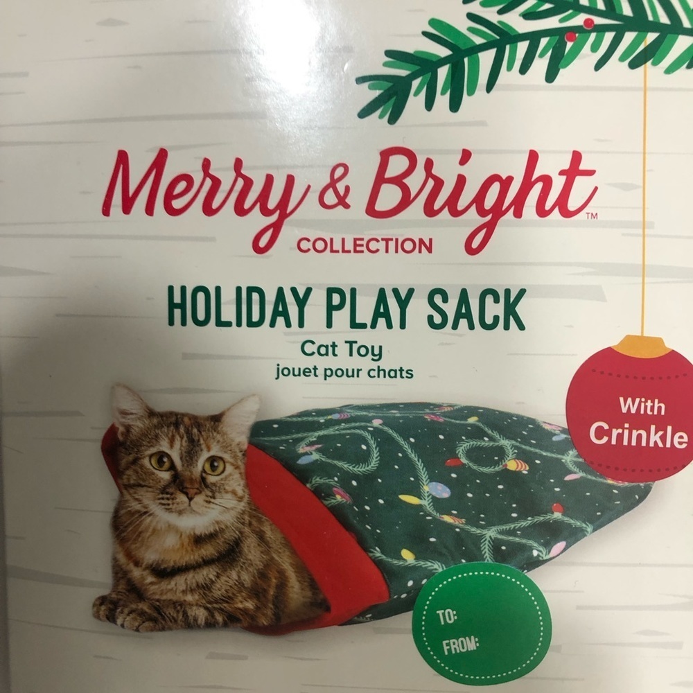 🎁Host Pick🎁Play Sack - CAT